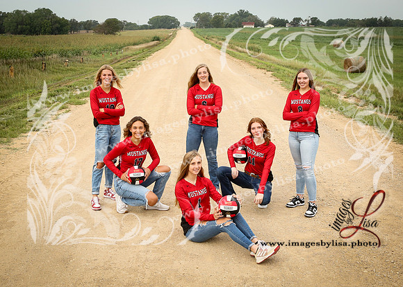 SylvanVB_Seniors_8274_2024