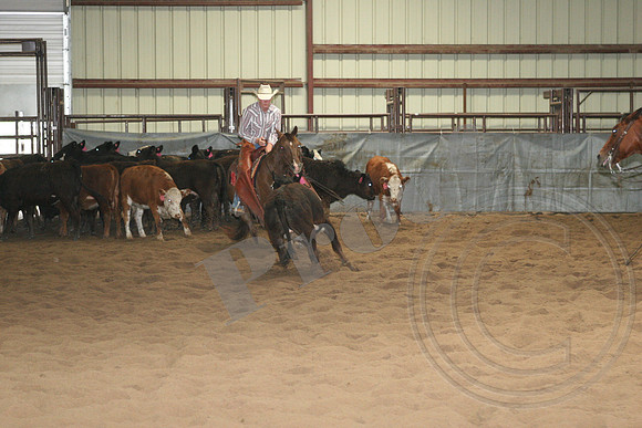544_IMG_4432.JPG