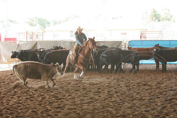 693_IMG_9390_2009.JPG
