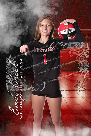 VolleyballReflection_8345_Emily_2024