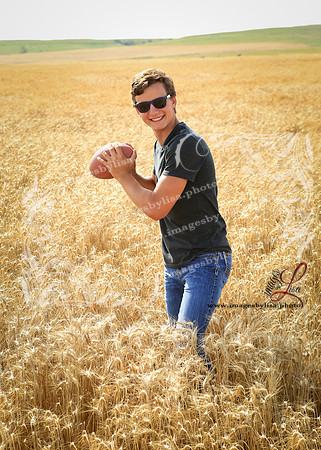 Alex_4486_2019