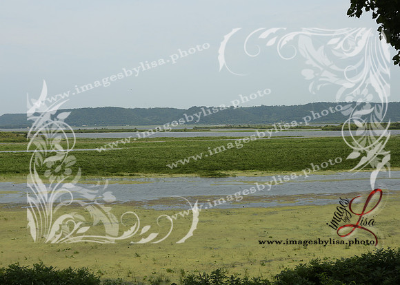 sjl_4969_2025