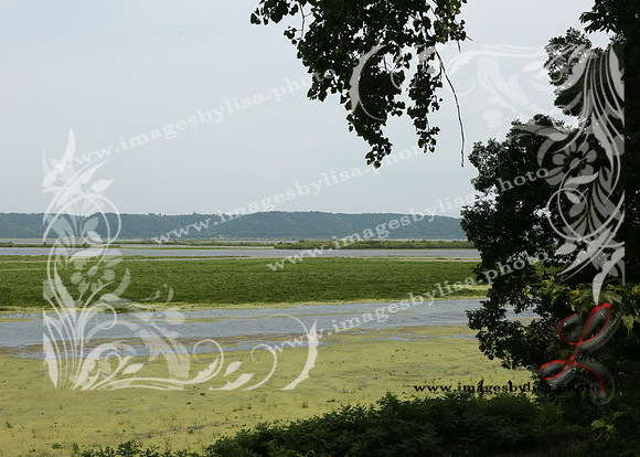 sjl_4971_2025