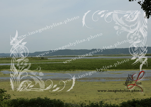 sjl_4972_2025