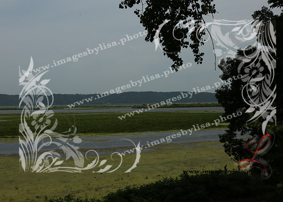 sjl_4970_2025
