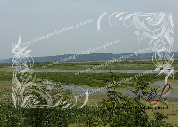 sjl_4973_2025