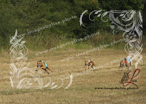 Paradise_1415_2025