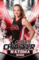 2017 Natoma Senior Banners