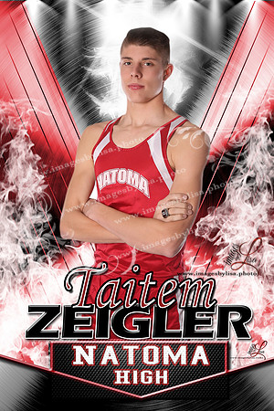 ZeiglerTaitem