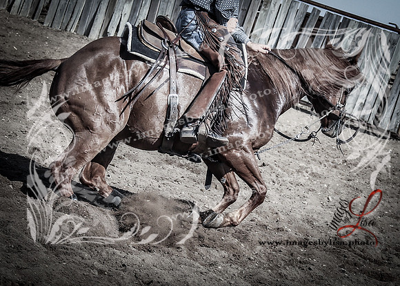 cuttingDirks_3094_2026-2