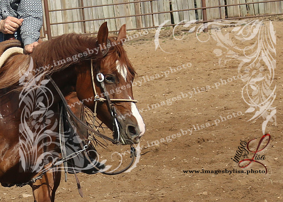 cuttingDirks_3099_2026-2