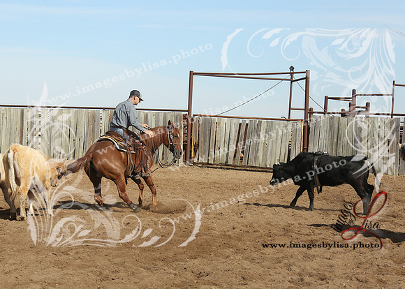 cuttingDirks_3095_2026