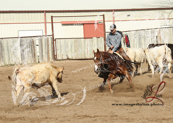 cuttingDirks_3108_2026