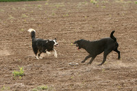 2006 Snapshots