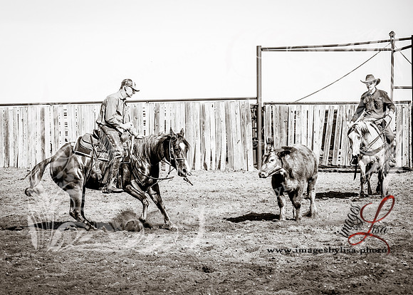cuttingDirks_3120_2026-2