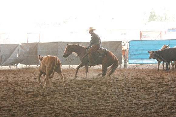 697_IMG_9729_2009.JPG