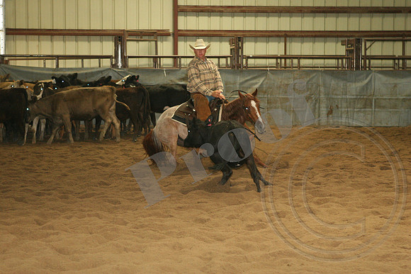 547_IMG_4752.JPG