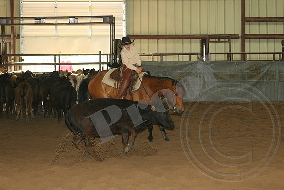 549_IMG_5000.JPG