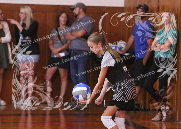TiptonVB_524_2023
