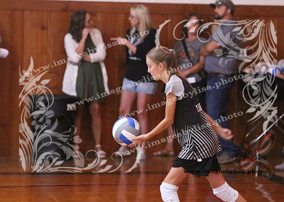 TiptonVB_526_2023