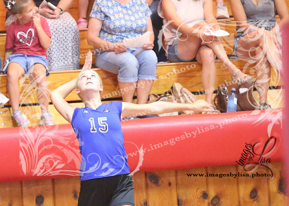TiptonVB_509_2023
