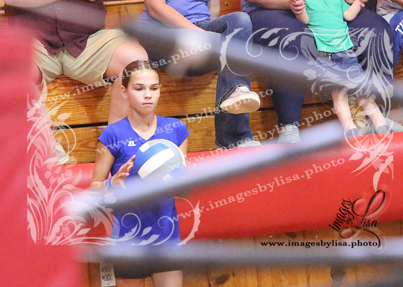 TiptonVB_517_2023