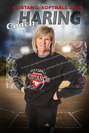 CoachHaring_intheShadowsSoftball_16X24 copy 2