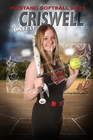 CriswellCara_intheShadowsSoftball_16X24 copy