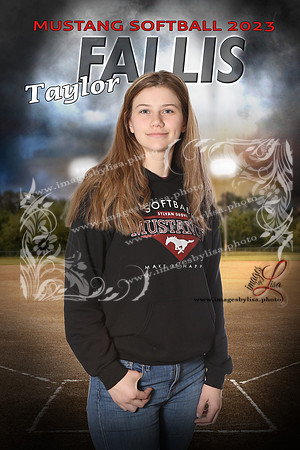 FallisTaylor_intheShadowsSoftball_16X24 copy