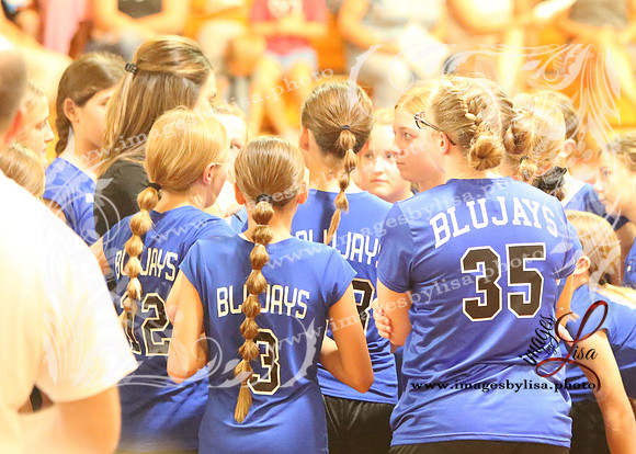TiptonVB_500_2023