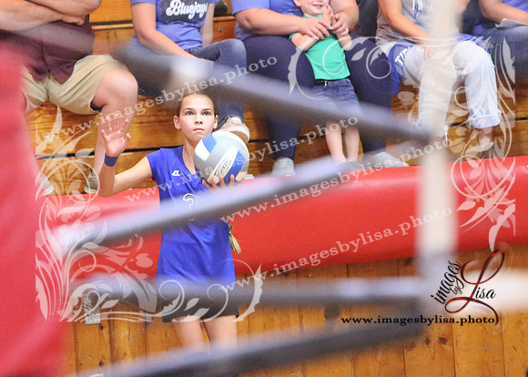 TiptonVB_518_2023