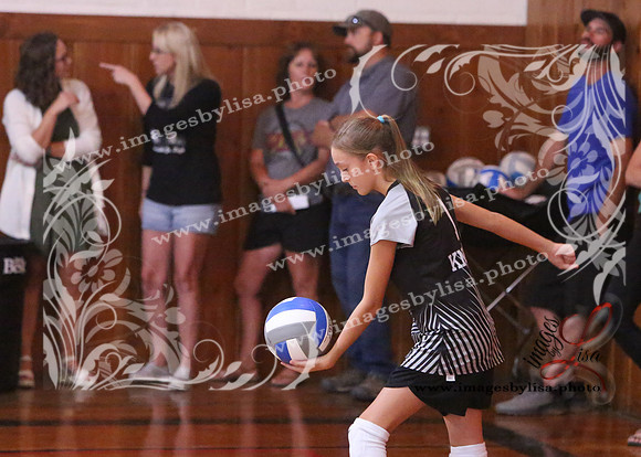TiptonVB_525_2023