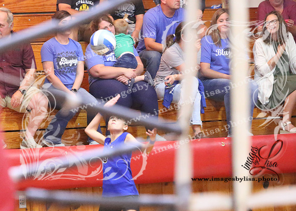 TiptonVB_521_2023