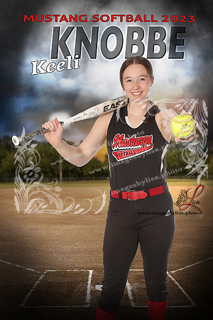 KnobbeKeeli_intheShadowsSoftball_16X24 copy