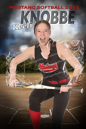 KnobbeKeeli_intheShadowsSoftball_16X24_bat