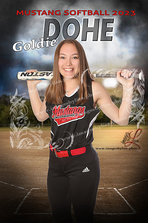 DoheGoldie_intheShadowsSoftball_16X24 copy