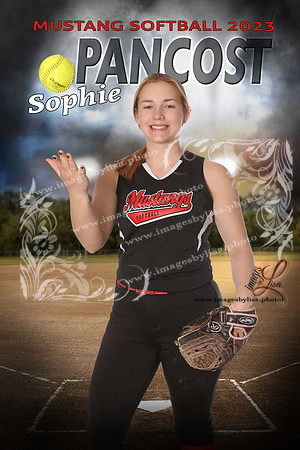 PancostSophie_intheShadowsSoftball_16X24 copy