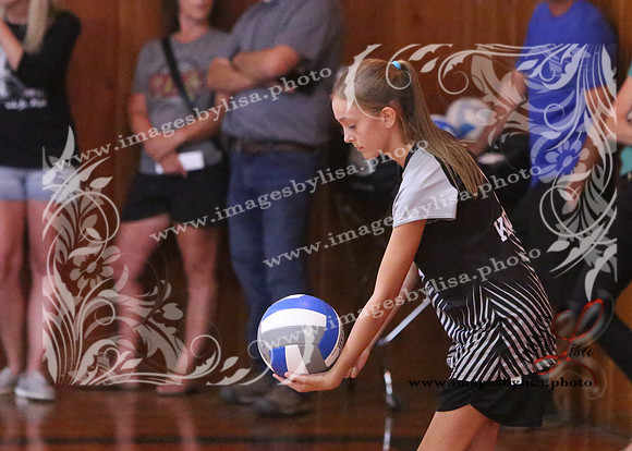 TiptonVB_523_2023