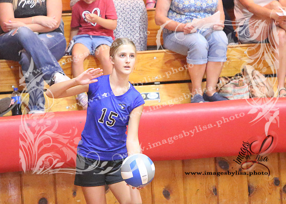 TiptonVB_506_2023