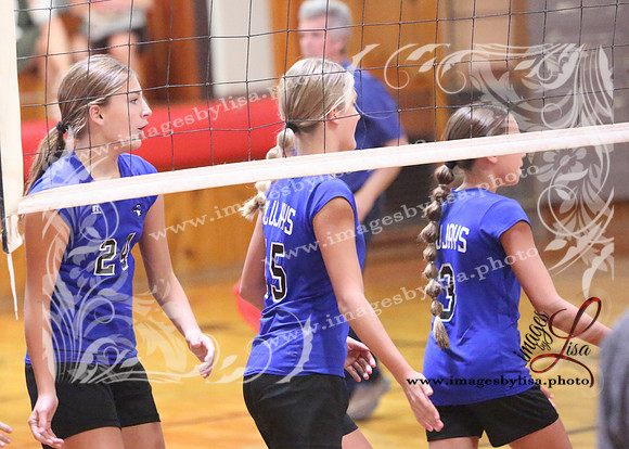 TiptonVB_505_2023