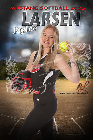 LarsenKylee_intheShadowsSoftball_16X24 copy