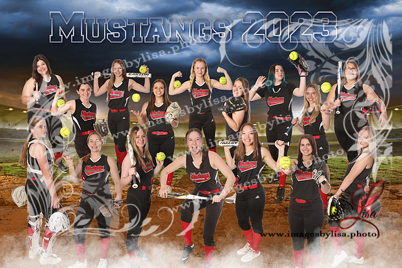 Sylvan_Softball_TeamBanner_2023_BreakingGround_breakingBat