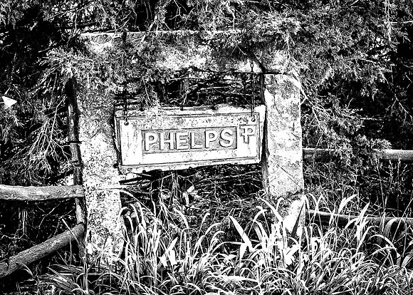 Phelps_1669_2018
