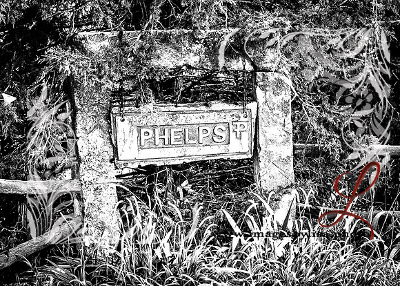 Phelps_1669_2018