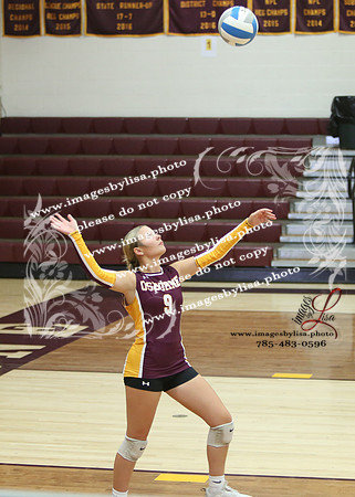 OsborneVB_JvTourn_8429_2026