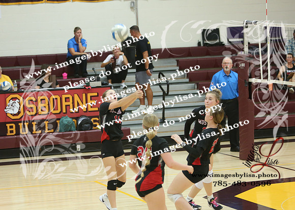 OsborneVB_JvTourn_8653_2026