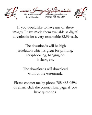 digitaldownloads