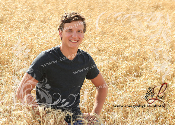 Alex_4445_2019