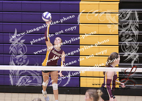 OsborneVB_0020_2026