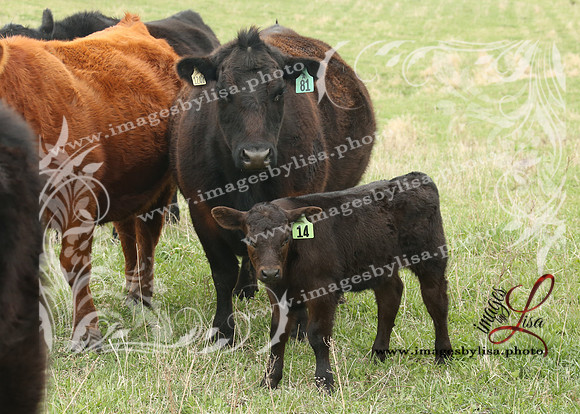 HannahChayce_0174_2025